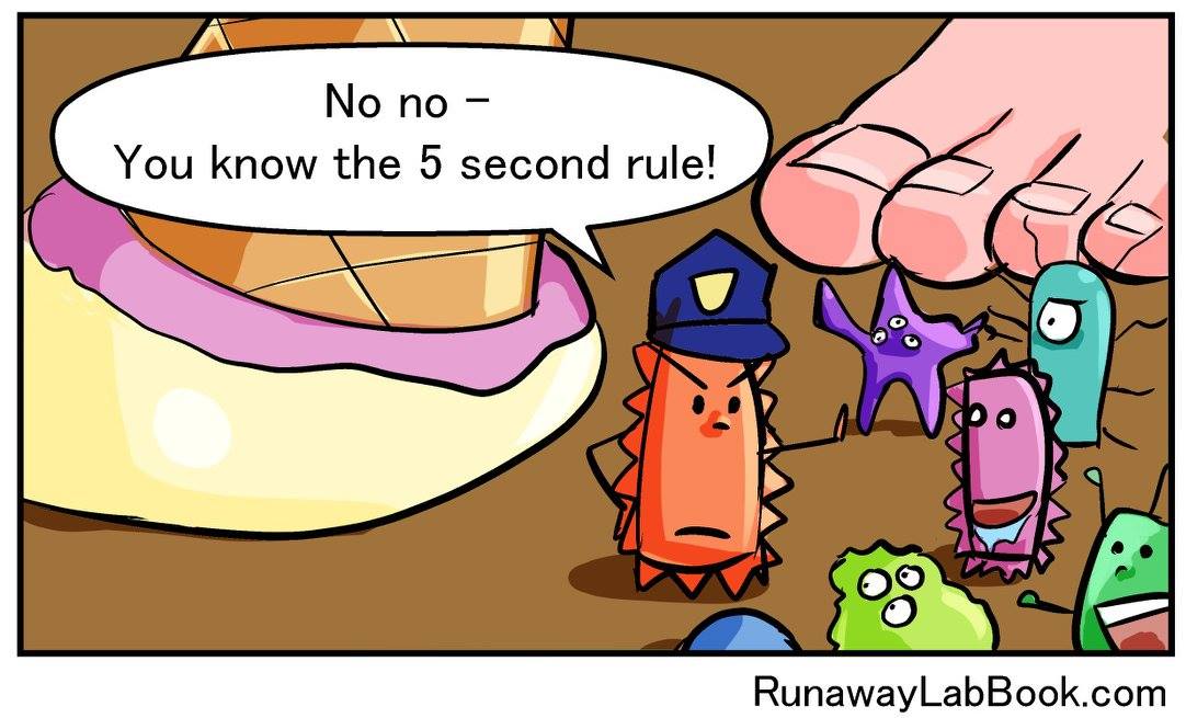 Second rule. Микробы ждут 5 секунд. Правило 5 секунд микробы. Правило пяти секунд Мем. Микробы 5 секунд Мем.